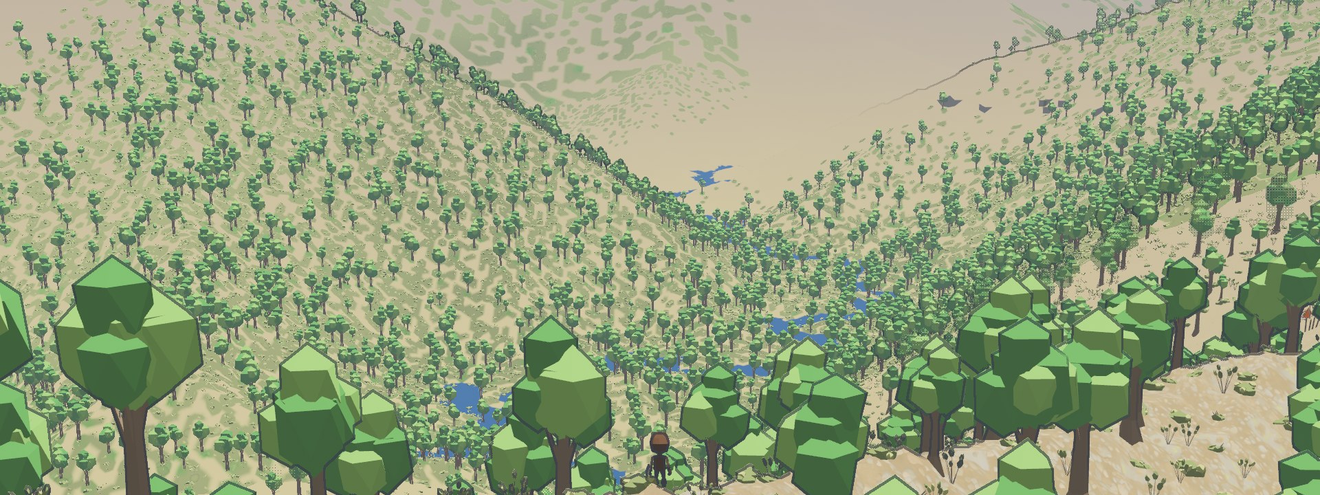 A stream with small ponds along it at the bottom of a wooded valley